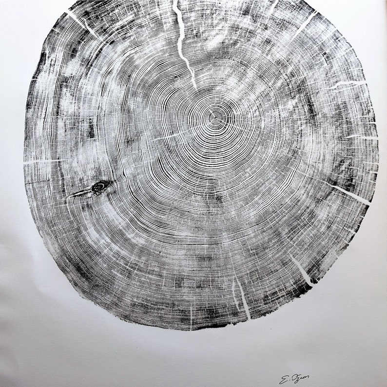 Large Cedar Tree Ring Woodcut Print – Handmade Nature Wall Art image 3
