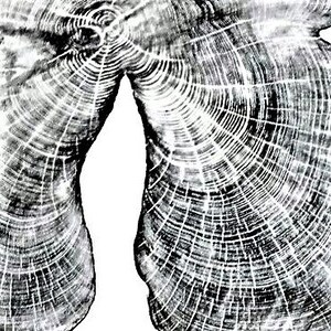 May include: Black and white close-up image of a tree trunk cross-section, showing the intricate pattern of growth rings.