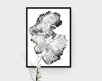 Hornbeam Tree Ring Woodcut Print – Handmade Black and White Botanical Wall Art (18x24)