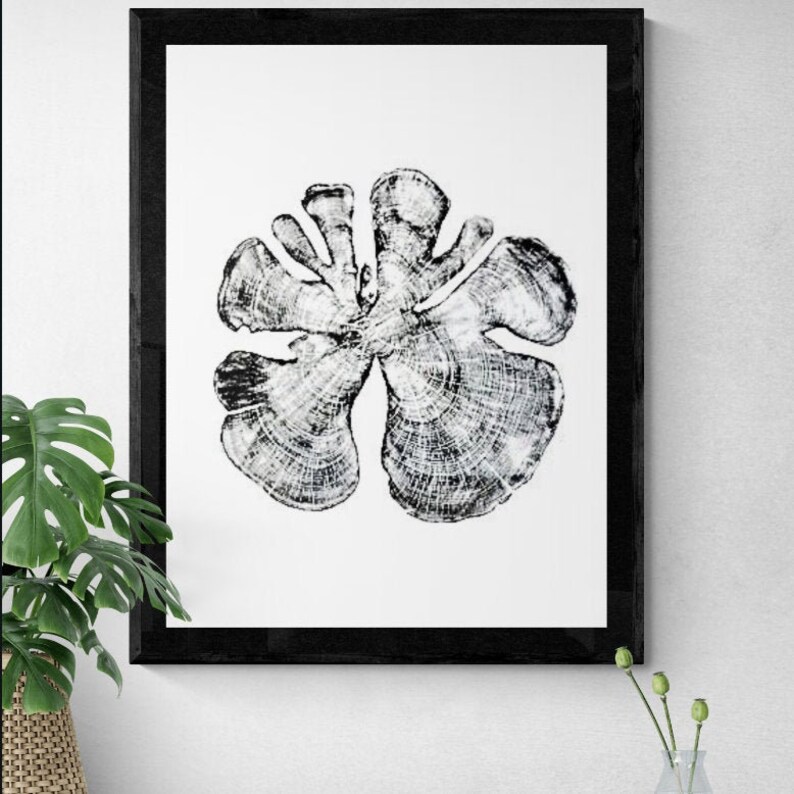 May include: Black and white print of a tree cross section, showing the rings of the tree. The print is framed in a black frame.
