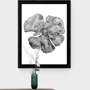 Träsnitt av enbärsträdsring, handgjord svartvit botanisk konst, minimalistisk väggdekoration av natur 18x24 bild 3