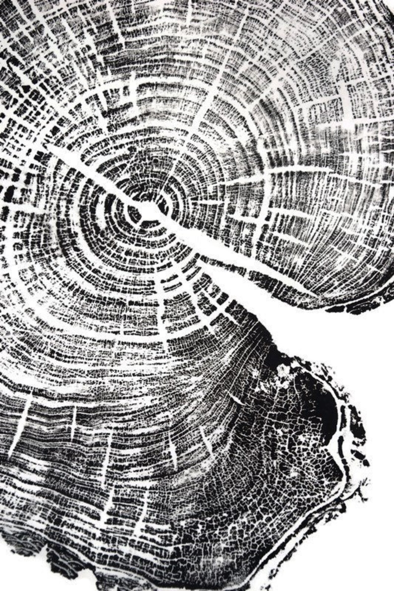 Tree Rings Print Woodcut Print Tree Ring Stamp Unique Wood Etsy