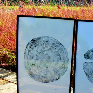 Large Cedar Tree Ring Woodcut Print – Handmade Nature Wall Art image 8