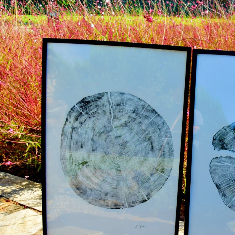 Large Cedar Tree Ring Woodcut Print – Handmade Nature Wall Art image 8