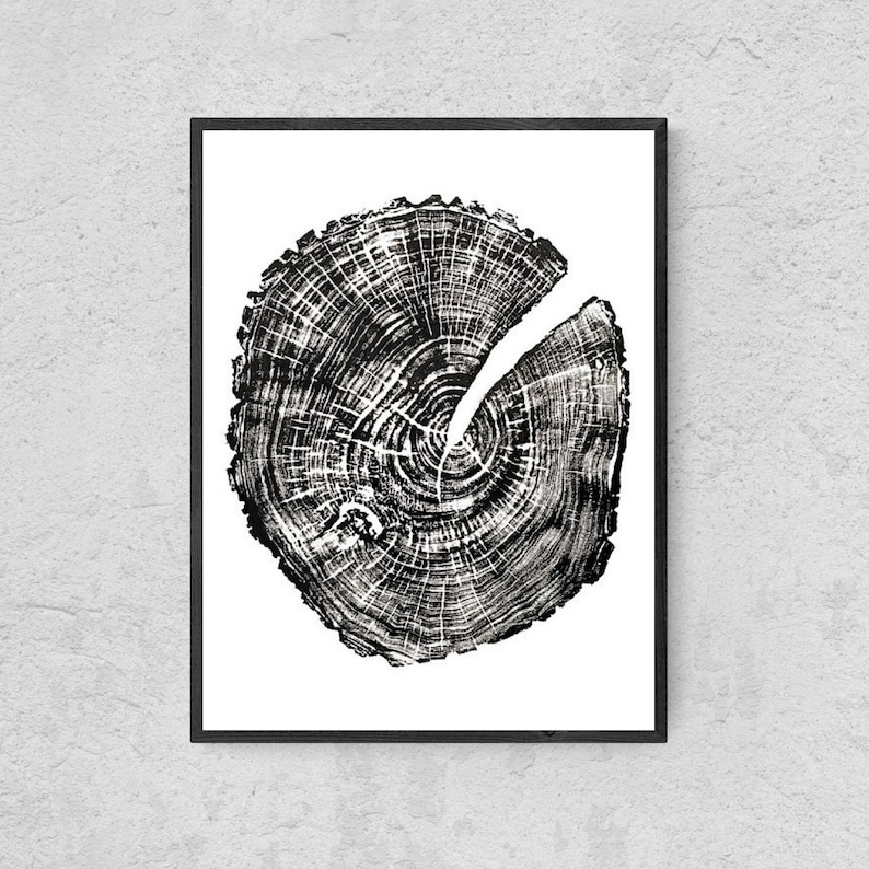 May include: Black and white print of a tree trunk cross section, showing the rings of the tree. The print is framed in a black frame.