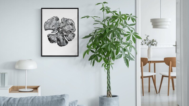 Träsnitt av enbärsträdsring, handgjord svartvit botanisk konst, minimalistisk väggdekoration av natur 18x24 bild 1
