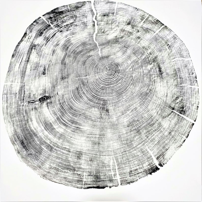 Large Cedar Tree Ring Woodcut Print – Handmade Nature Wall Art image 1