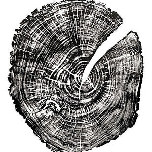 May include: Black and white illustration of a tree trunk cross section, showing the rings of growth. The rings are detailed and intricate, creating a natural and organic pattern.