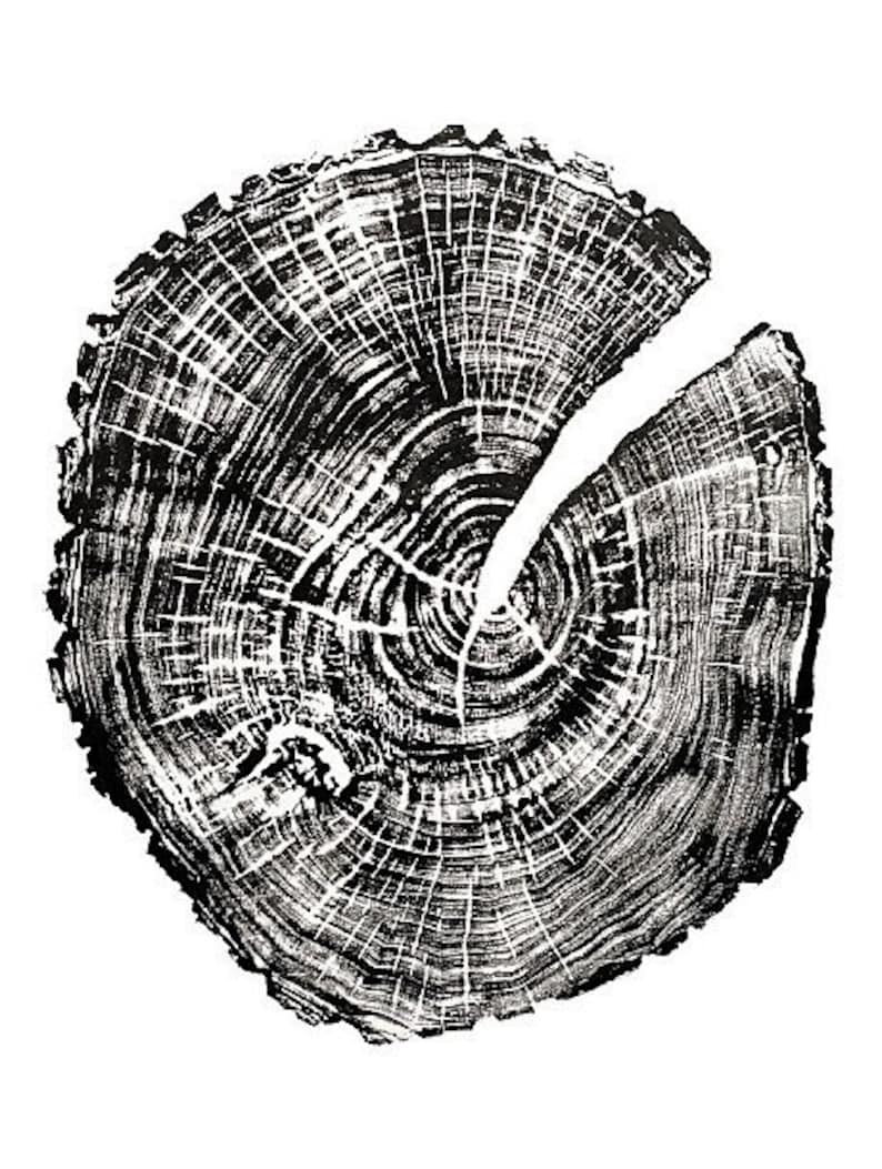 May include: Black and white illustration of a tree trunk cross section, showing the rings of growth. The rings are detailed and intricate, creating a natural and organic pattern.