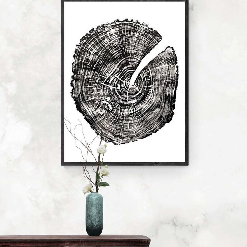 May include: Black and white print of a tree trunk cross section with visible rings. The print is framed in a black frame and hanging on a white wall.