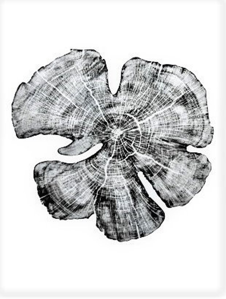 Träsnitt av enbärsträdsring, handgjord svartvit botanisk konst, minimalistisk väggdekoration av natur 18x24 bild 2