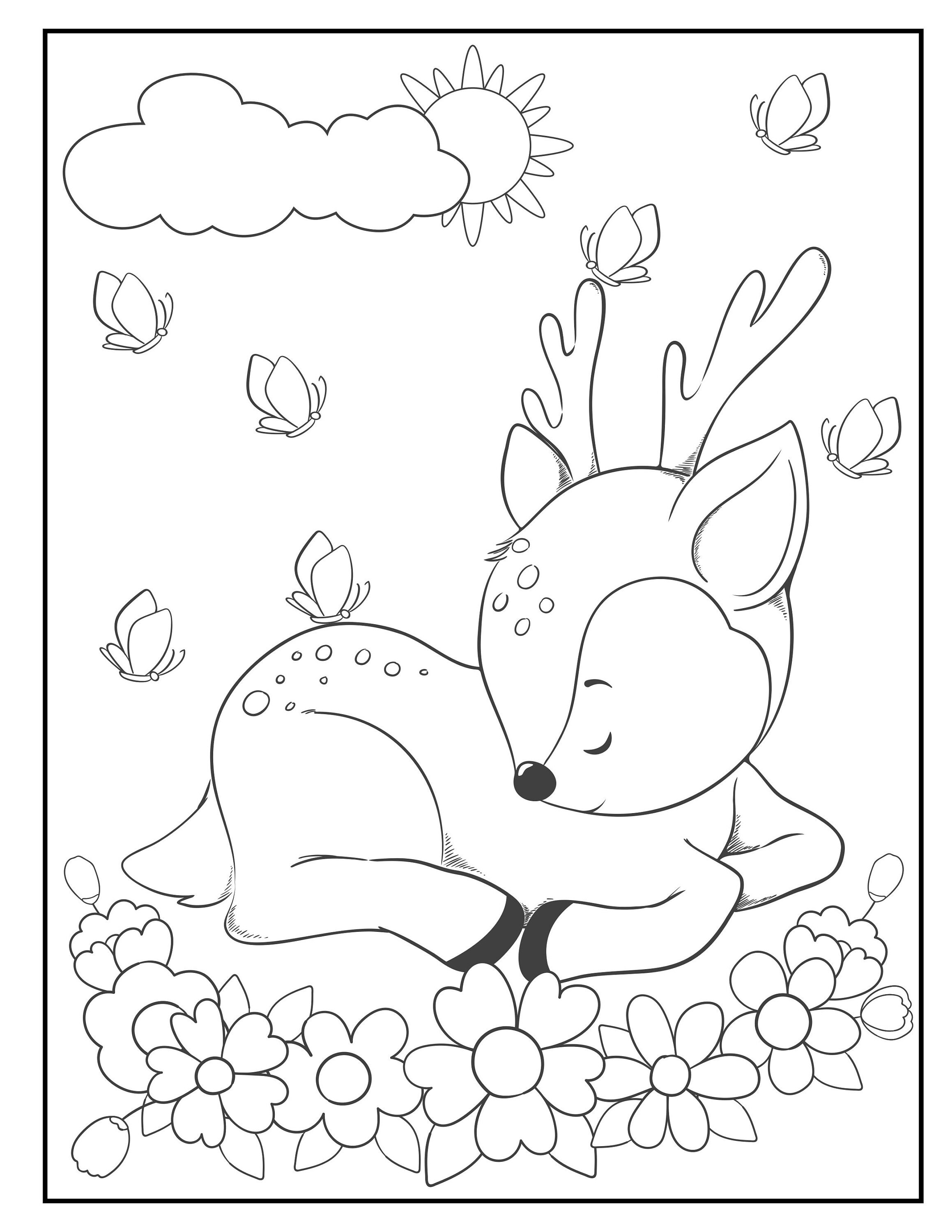 Animals of the World Coloring Book - Etsy UK