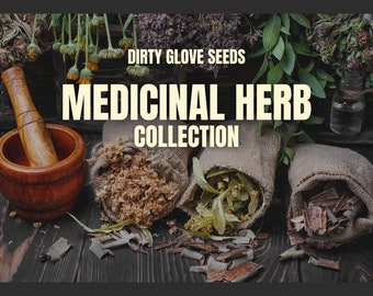 Medicinal Herb Seed Collection - 15 Healing Herbs