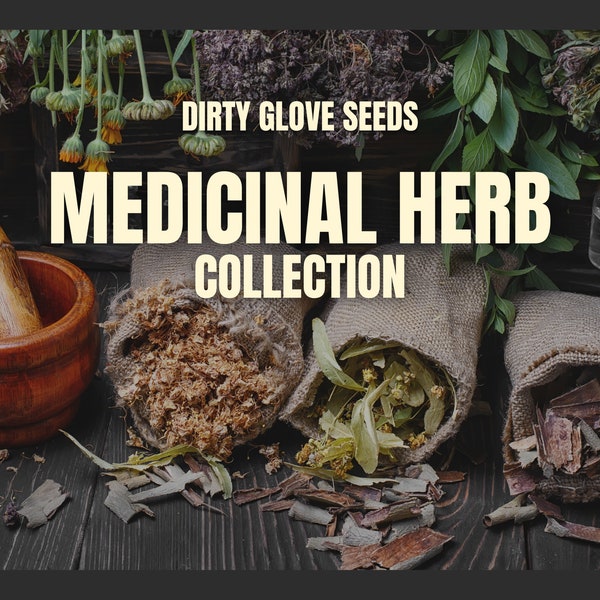 Medicinal Herb Seed Collection - 15 Healing Herbs