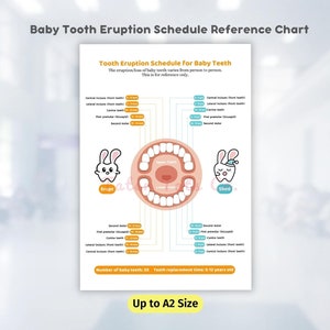 Tableau des remplacements de dents de lait et de perte de dents de lait avec calendrier et chronologie, téléchargement immédiat au format PDF