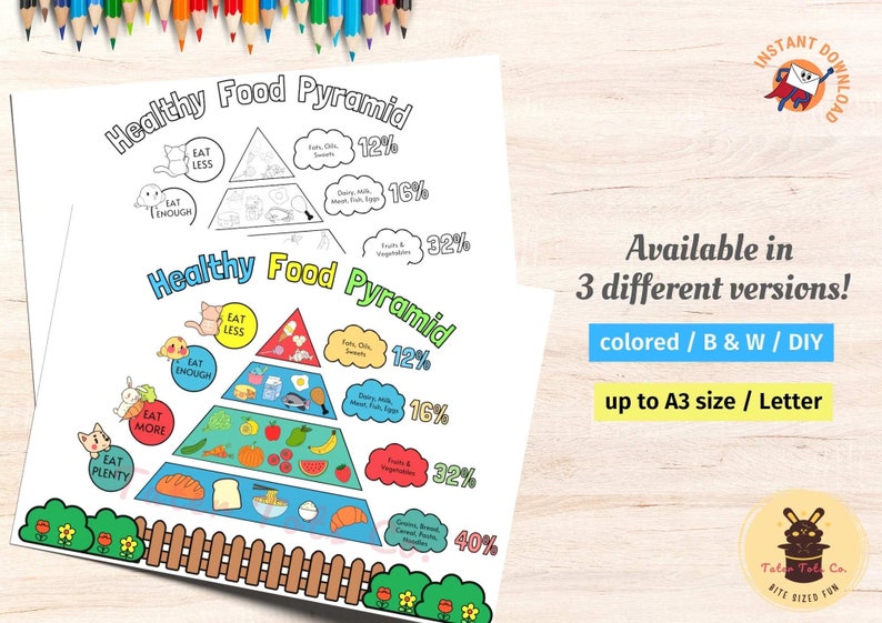 Kids Food Guide for Family and School Meal and Healthy Eating Pyramid bundle
