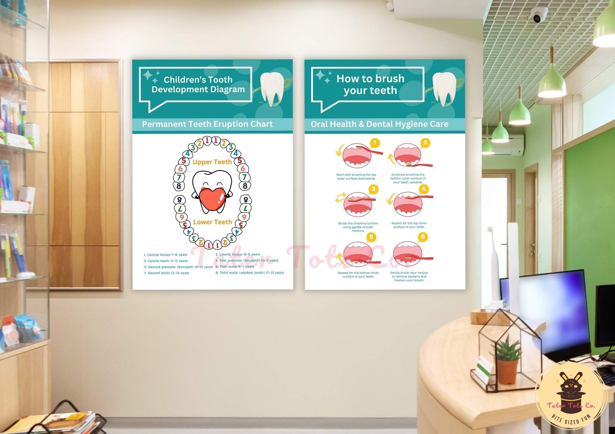Comprehensive Children’s Permanent Teeth Eruption Chart and How to ...