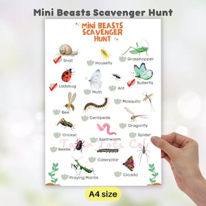 May include: A printable scavenger hunt checklist featuring illustrations of various insects and bugs, including a ladybug, butterfly, bee, dragonfly, and a praying mantis. The checklist is titled "Mini Beasts Scavenger Hunt" and is labeled "A4 size".