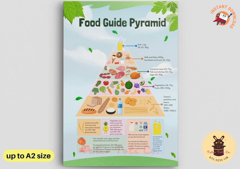 Basic Food Pyramid Groups Poster with Daily Recommended Dietary Intake Summary - Instant Download 
