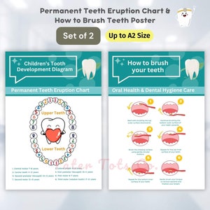 Tableau complet des éruptions dentaires permanentes chez l'enfant et lot d'affiches sur les étapes du brossage des dents à téléchargement immédiat au format PDF