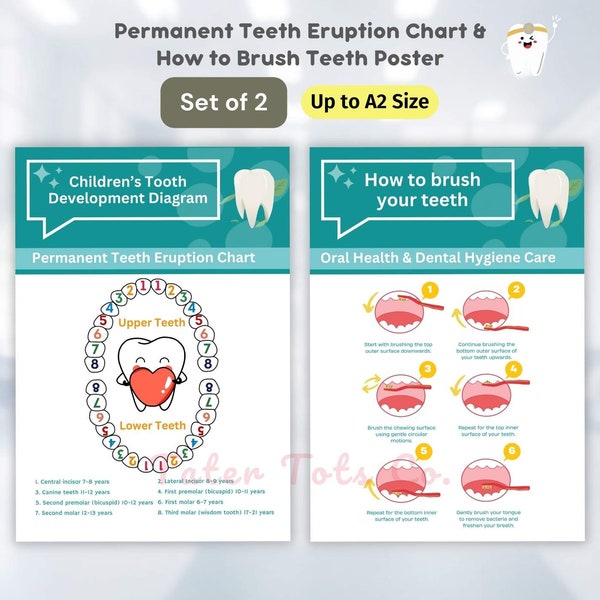Umfassende Übersicht über den bleibenden Zahndurchbruch von Kindern und Anleitung zum Zähneputzen Putzen Schritte Poster Bundle Sofortiger Download PDF