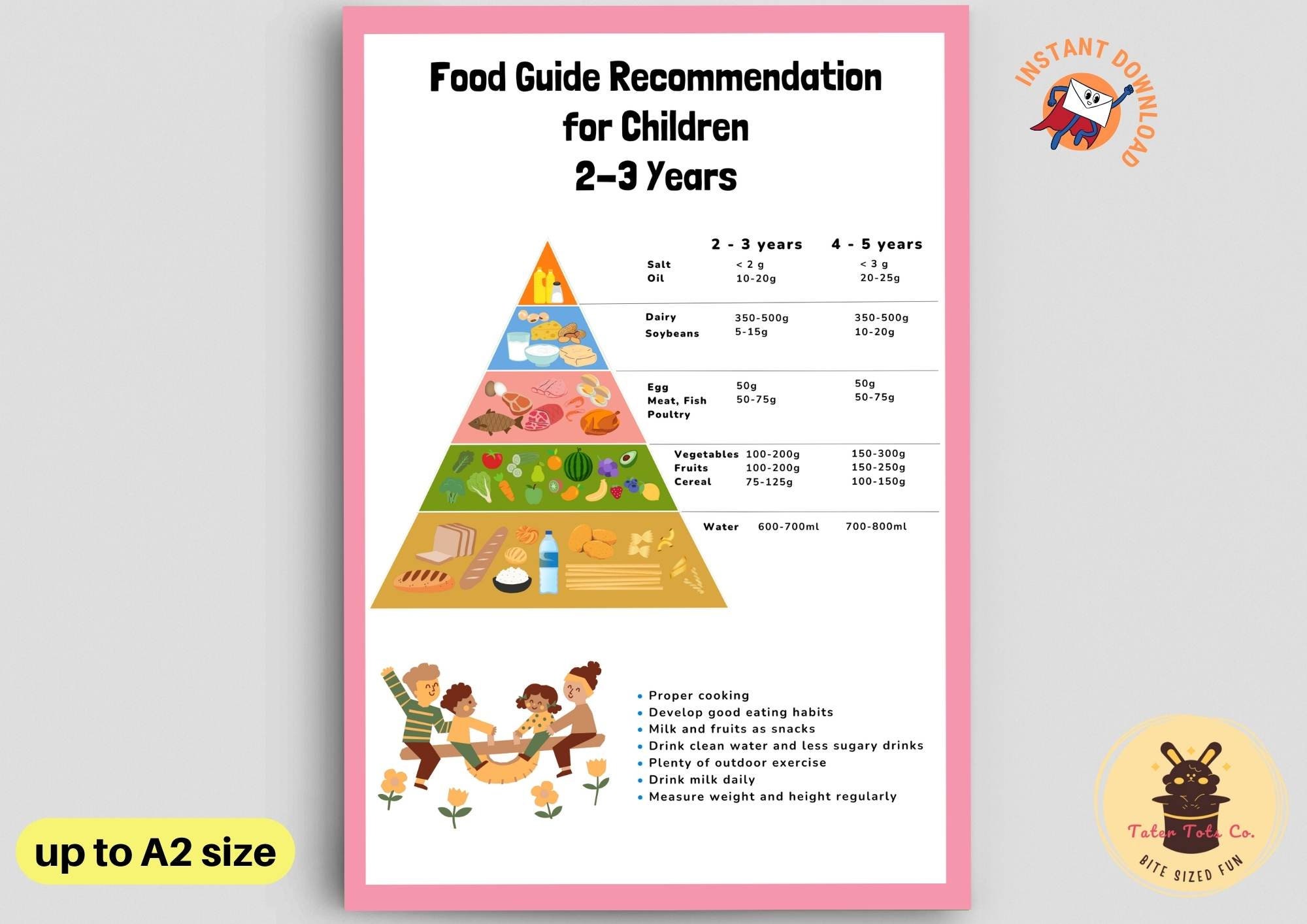 Food Guide Recommendation Pyramid for Children (2 to 3 years old)  Dietary Intake Instant Download PDF