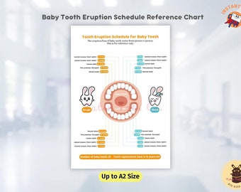 Baby Tooth Eruption and Shedding Teeth Replacement Chart with Schedule and Timeline Instant Download PDF