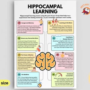 May include: A colorful infographic poster titled "Hippocampal Learning" with tips for improving memory. The poster includes text and illustrations about memory techniques, such as studying in a cool room and reviewing information. The poster is available up to A2 size.
