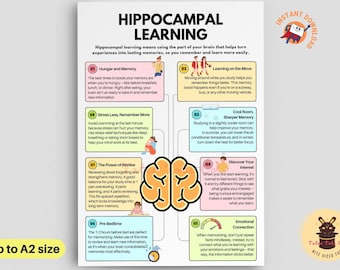 Hippocampal Learning Infographic Brain Science Study Tips for Kids & Adults – Instant Download PDF