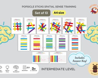 Popsicle Sticks Spatial Sense Training Intermediate Level Activity Sheet Bundle  | Mirror Symmetry | Pattern Matching | Instant Download PDF