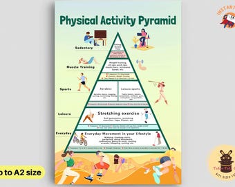 Physical Activity Pyramid for Adults Movement and Sports Fitness ...