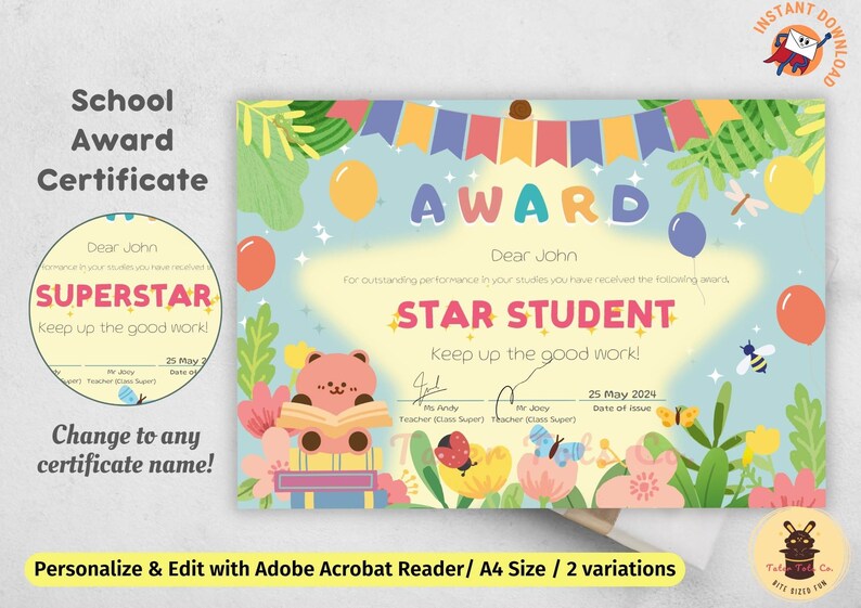 Editable Preschool or School Award Certificate Diploma Star Student - Personalize and change to any cert name Instant Downloadable PDF