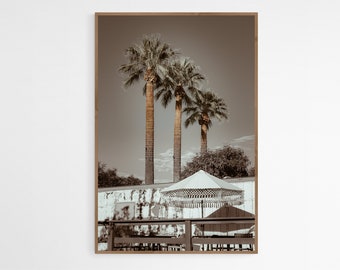 Retro Palm Tree Art, Arizona Desert Palm Art, Palm Springs, Miami Tropical Palms, Tropical Tree And Umbrella Photography