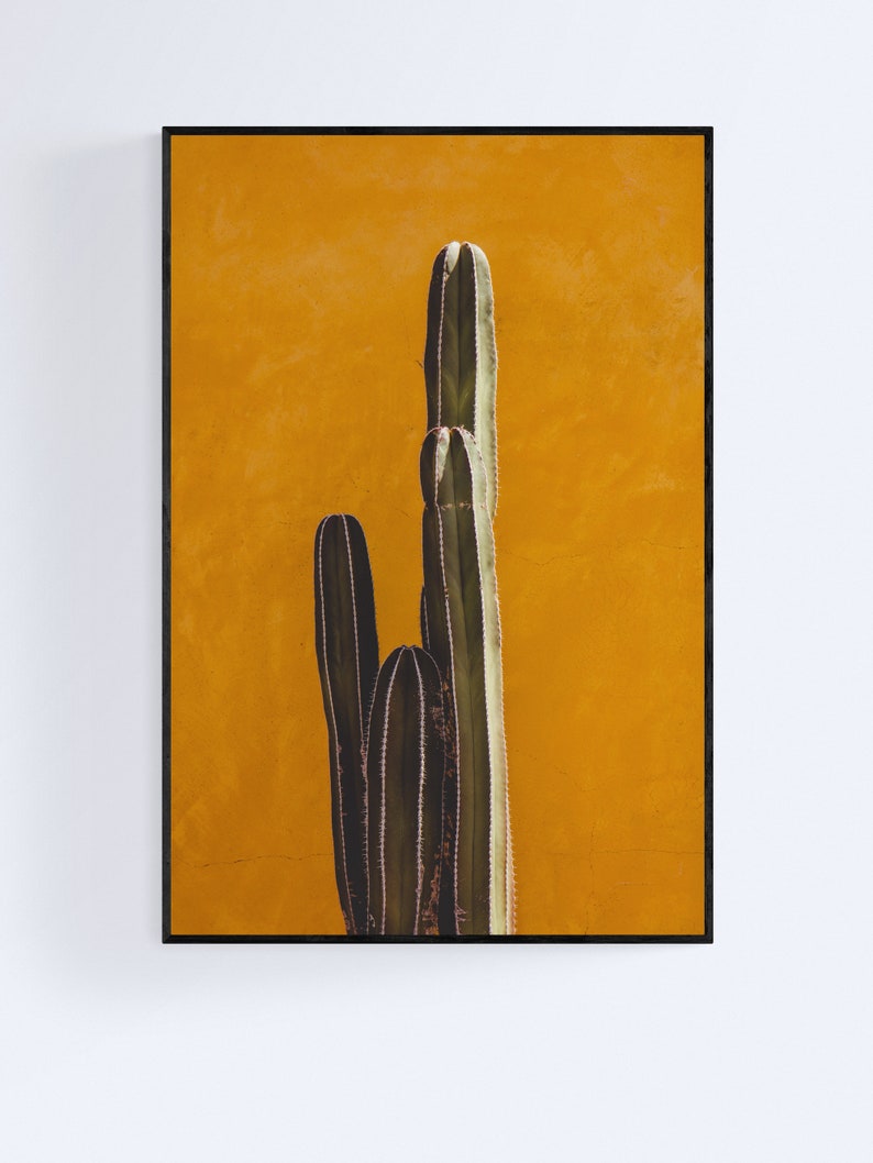 Cactus Wall Art Southwestern Decor Cactus Prints Minimal Etsy