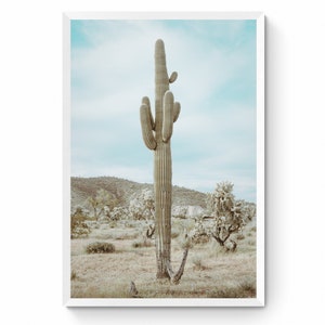 Arizona Cactus Print, Desert Wall Art, Tonto National Forest, Western Home Decor, Four Peaks Arizona