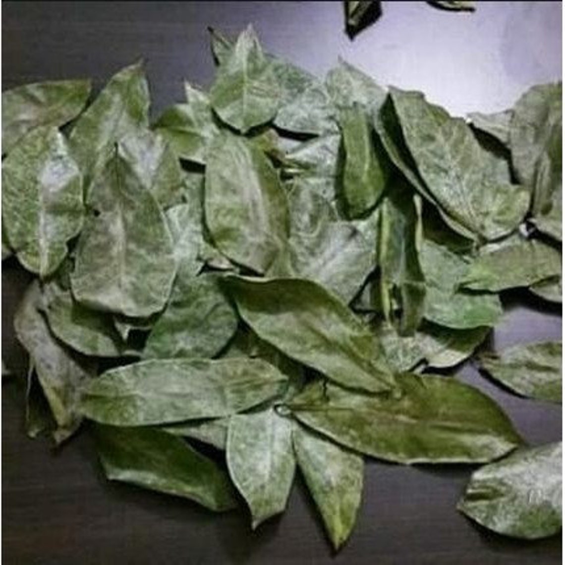 Dried Leaves/powder/capsule Sugar Apple Leaves Sweetsop Custard