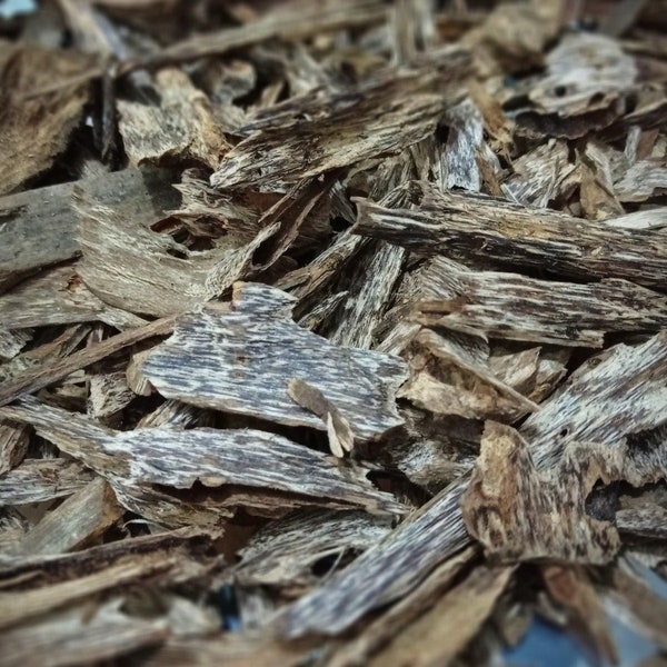 PURE Kalimantan Gaharu Agarwood Oud Chip Grade AB / 100% indonesisches Agarwood, kein Aetoxylon