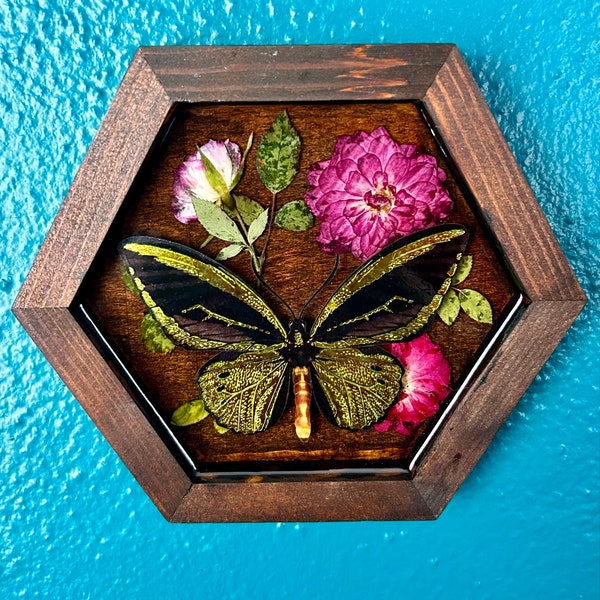 Butterfly and roses hexagonal wall art - faux taxidermy pressed flower home decor