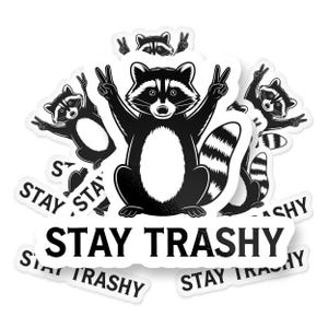 Sticker raton laveur Stay trash, sticker meme animal rigolo en vinyle, sticker humour bestiole benne à ordures pour ordinateur portable, bouteille d'eau, voiture et camion