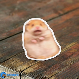 Scared Hamster Meme Sticker, Meme Sticker, Funny Sticker, Scared Hamster Meme, Waterproof Vinyl Sticker for Hydroflask, Laptop sticker