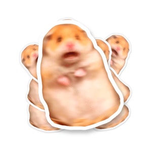 Sticker meme peur hamster, meme sticker, autocollant drôle, meme peur hamster, autocollant pour voiture drôle, meme facetime hamster