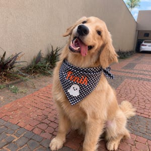 May include: A golden retriever wearing a black and white gingham patterned bandana. The bandana features the embroidered name Fenik in orange thread and a small white ghost applique with a smiling face positioned below the name.