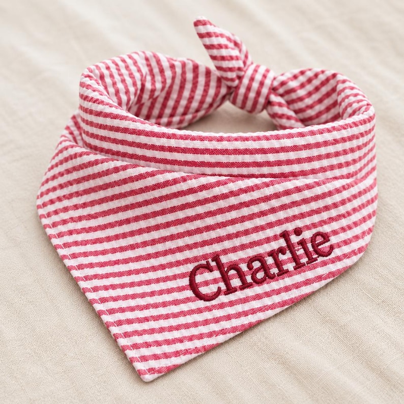 May include: A triangular pet bandana featuring a red and white seersucker striped pattern. The fabric is tied at the top into a knot. The name Charlie is embroidered in dark red thread in a cursive script across the lower front of the bandana.