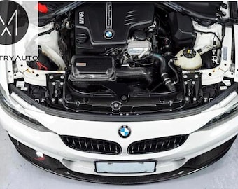 BMW F30 320i / 328i (N20) Carbon Fiber Cold Air Intake