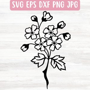 Arquivo SVG de espinheiro para Cricut, SVG de flor de nascimento de maio para Silhouette, Download de arquivo SVG de flor de espinheiro, Svg de ramo floral, Svg de contorno floral