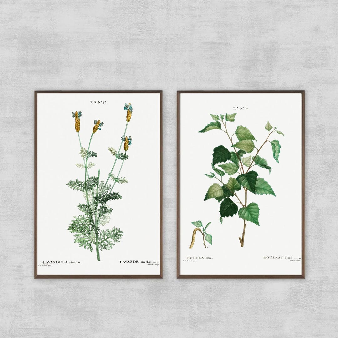 Vintage Botany, Gallery Wall Art , Set of 2, Botanicals, PRINTABLE ...
