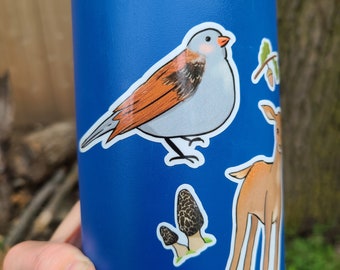 Bird sticker, woodland sticker, cute forest animal, laptop decal, water bottle sticker, cottagecore sticker, Field sparrow sticker