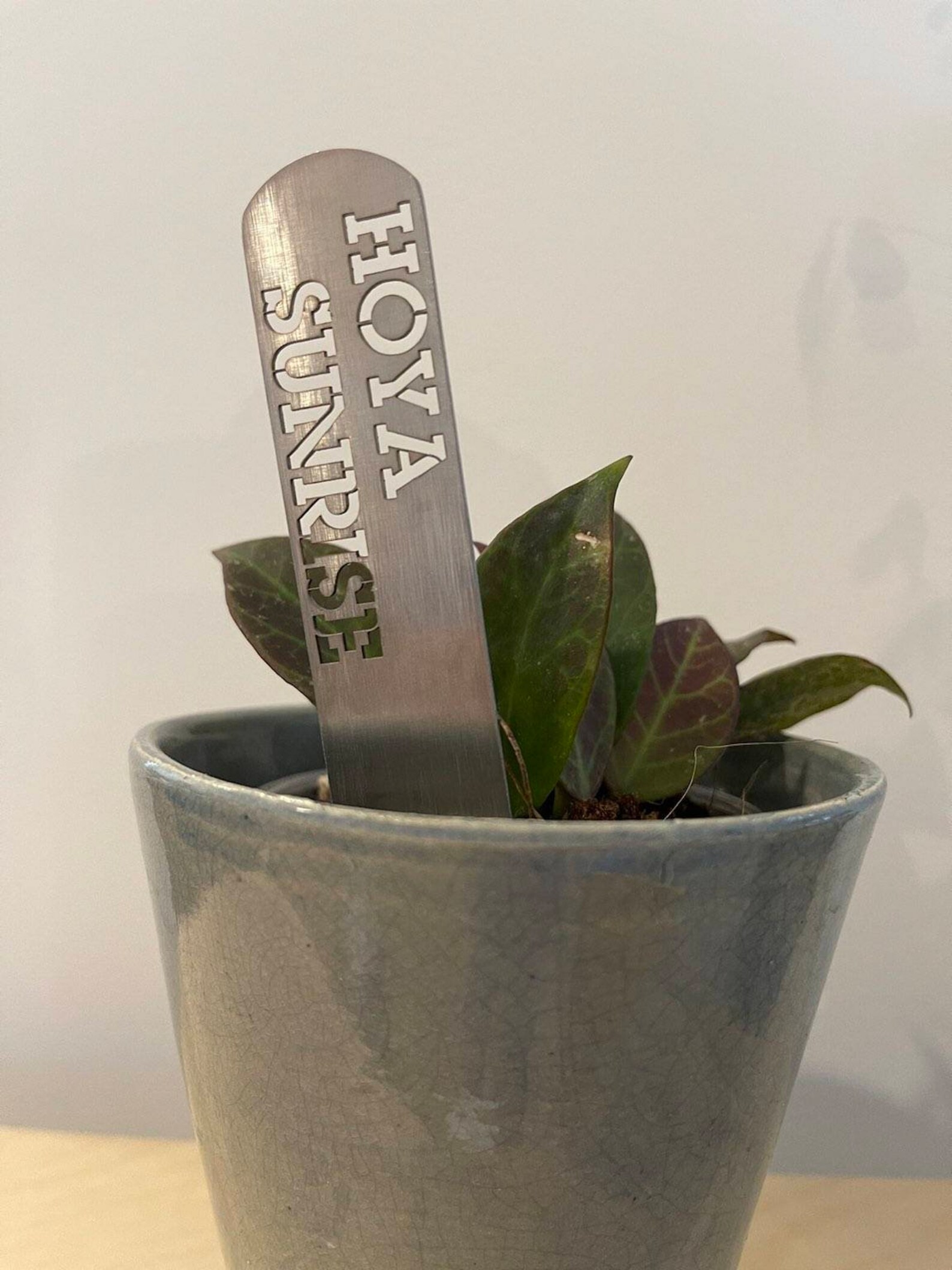 Stainless Steel Garden Tags Garden Stalks Plant Markers Etsy