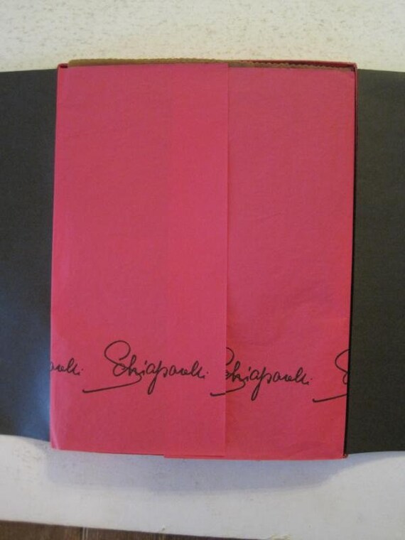 Boxed 3 Pairs of Vintage SCHIAPARELLI NATURELLES … - image 2