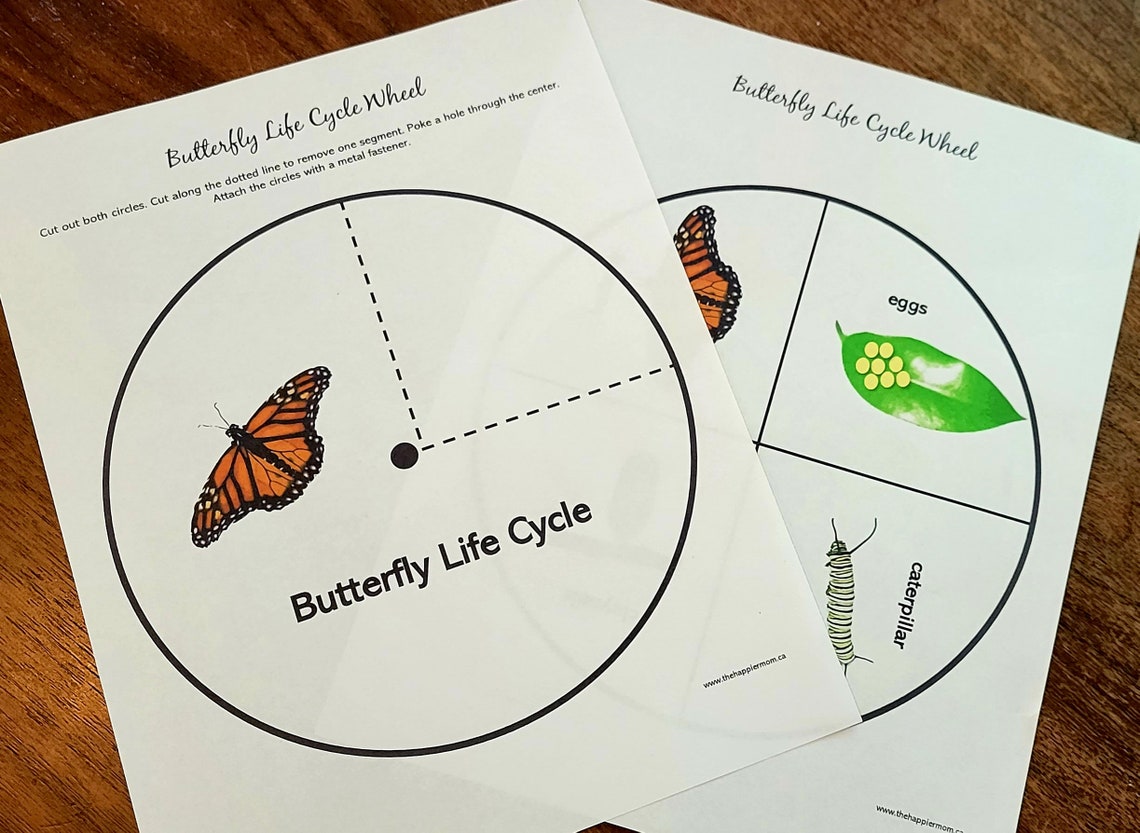 Butterfly Life Cycle Wheel Printable Kids Activity Early Etsy Canada